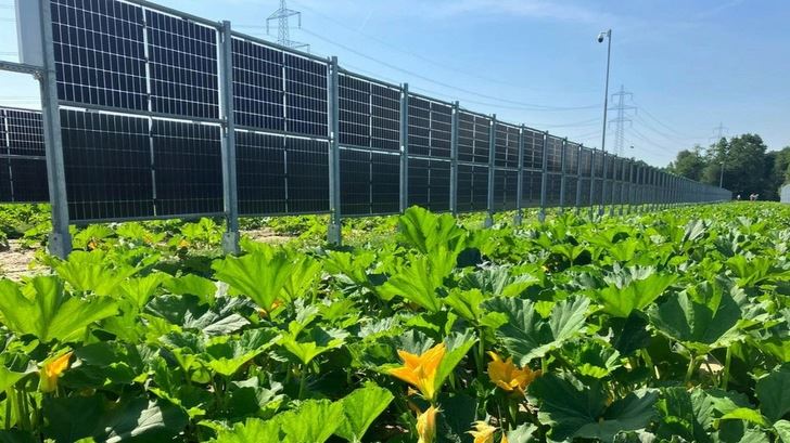 Agri-PV Vertical Mounting