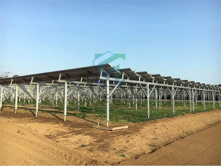 PV Solar Farm Agriculture Solar Plant